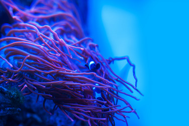 Similar image 13271433