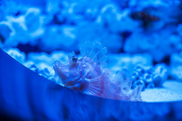 Similar image 13271439