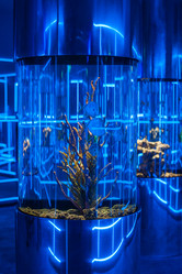 Similar image 13271382