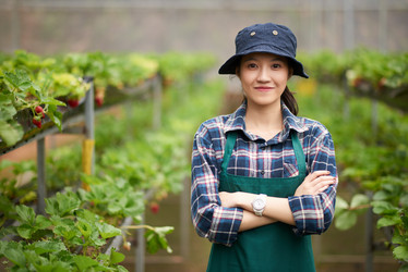 Similar image 13269300