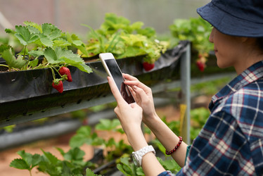 Similar image 13269301