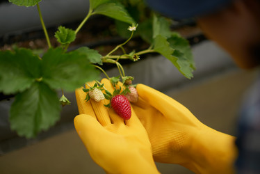 Similar image 13269307