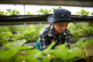 Similar image 13269316