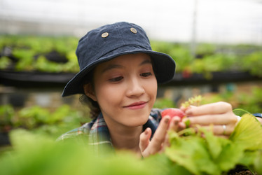 Similar image 13269317