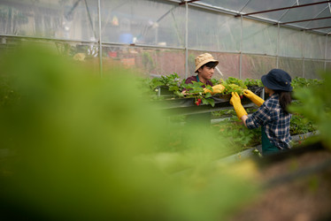 Similar image 13269318