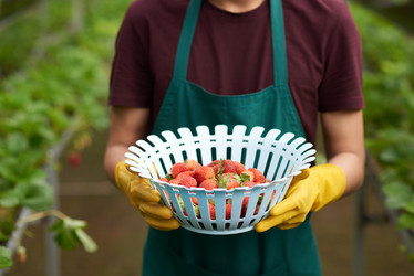 Similar image 13269323