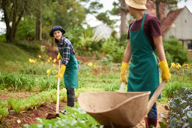 Similar image 13269337