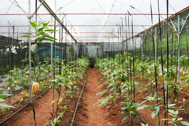 Similar image 13269341