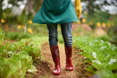 Similar image 13269367