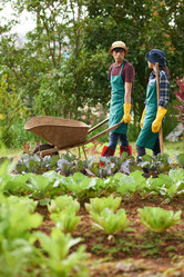 Similar image 13269368