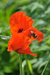 Similar image 13271624