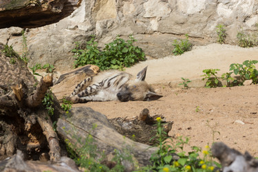 Similar image 13274377