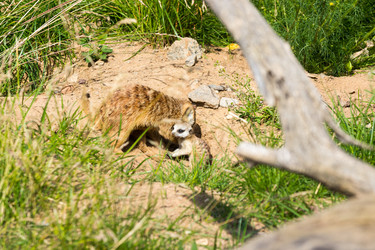 Similar image 13274390