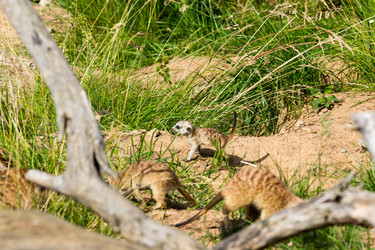 Similar image 13274384