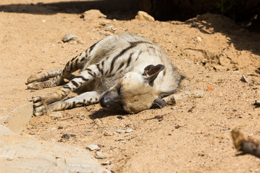 Similar image 13274386