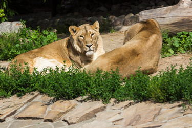 Similar image 13274389