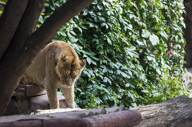 Similar image 13274391