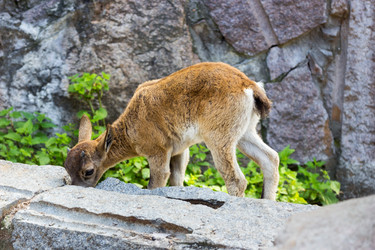 Similar image 13274397