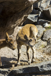 Similar image 13274399