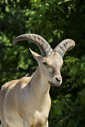 Similar image 13274408