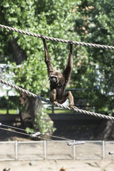 Similar image 13274409