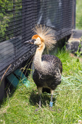 Similar image 13274414