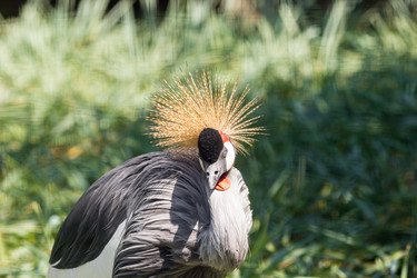 Similar image 13274415