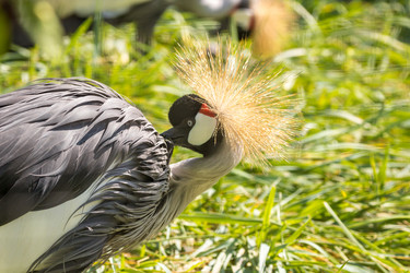 Similar image 13274416