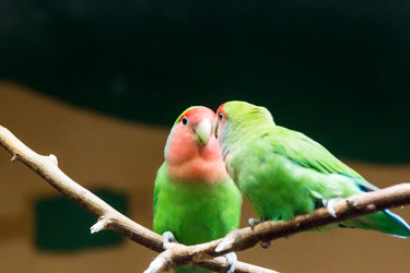 Similar image 13274419