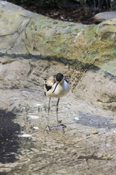 Similar image 13274421