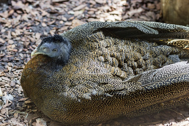 Similar image 13274423