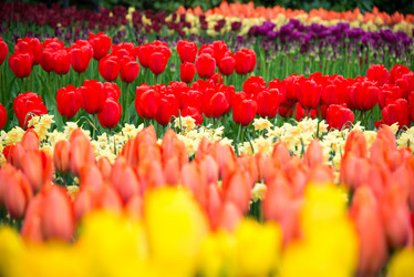 Similar image 13288589