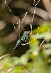 Similar image 13273592