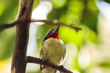 Similar image 13273593