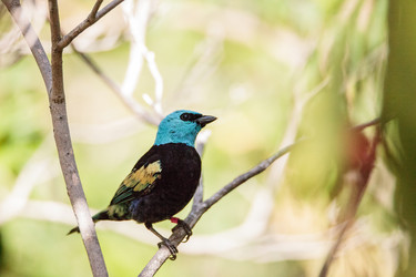 Similar image 13273594