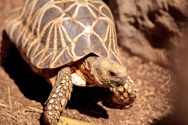 Similar image 13273596