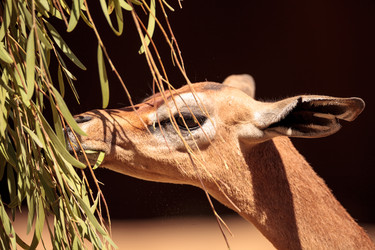 Similar image 13273617