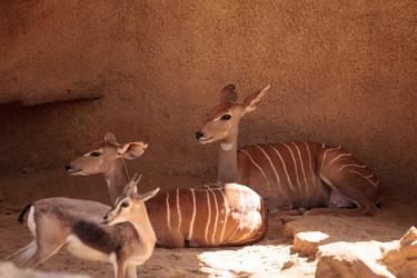 Similar image 13280793