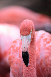 Similar image 13280794