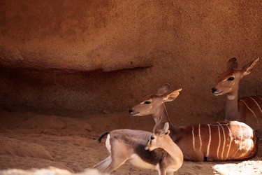 Similar image 13280817