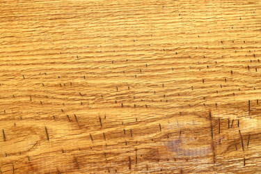 Similar image 13271238