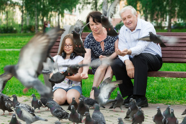 Similar image 13274302