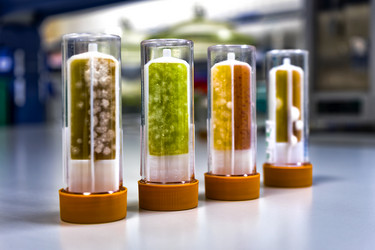 Similar image 13274067