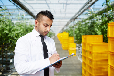 Similar image 13271111