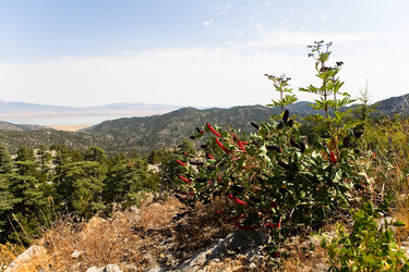 Similar image 13274425