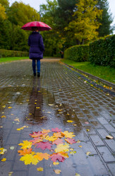 Similar image 13274468