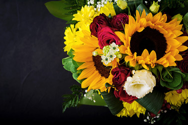 Similar image 13271930