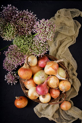 Similar image 13272068