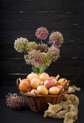 Similar image 13272070