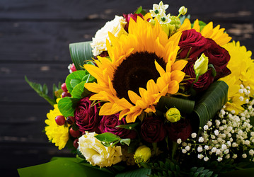 Similar image 13272116